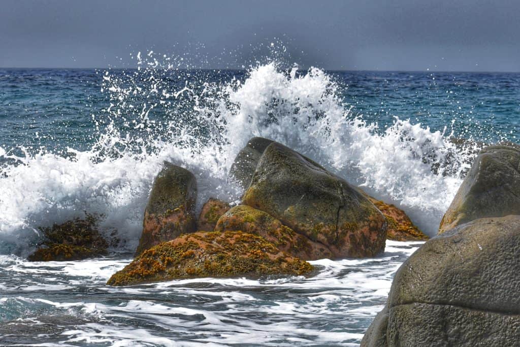 Low Tide Splash