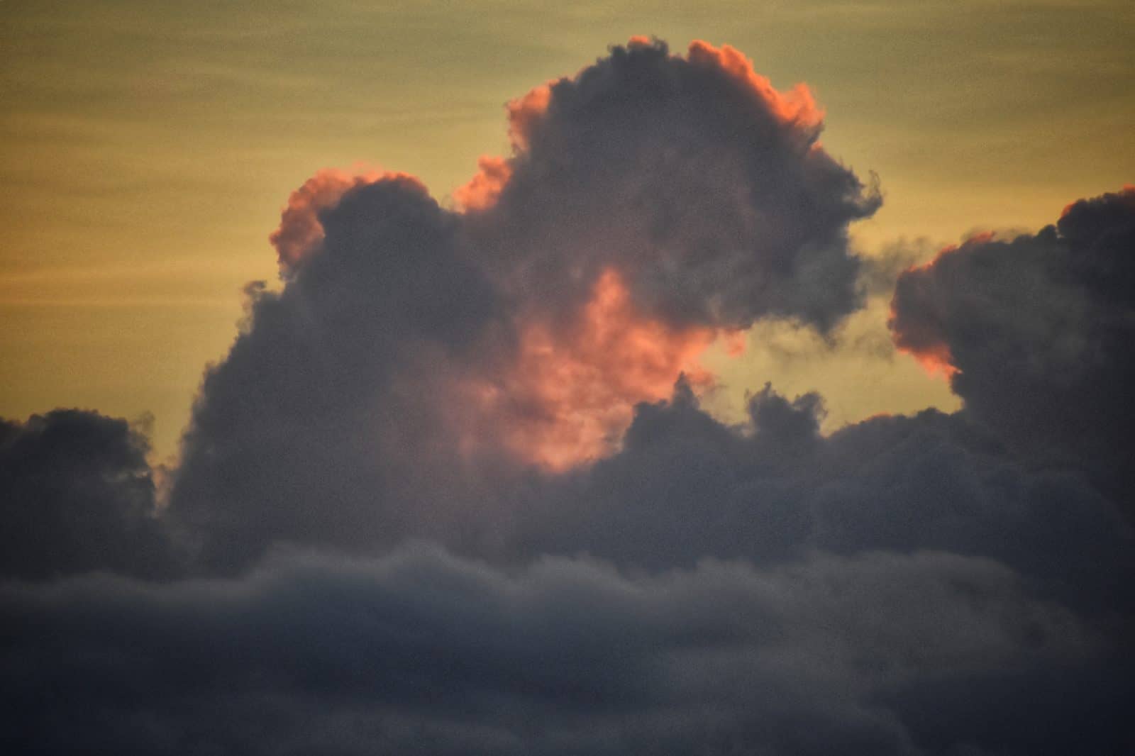 Cloud Monster