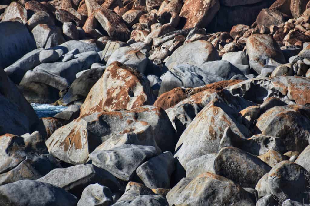 Rocky Shore