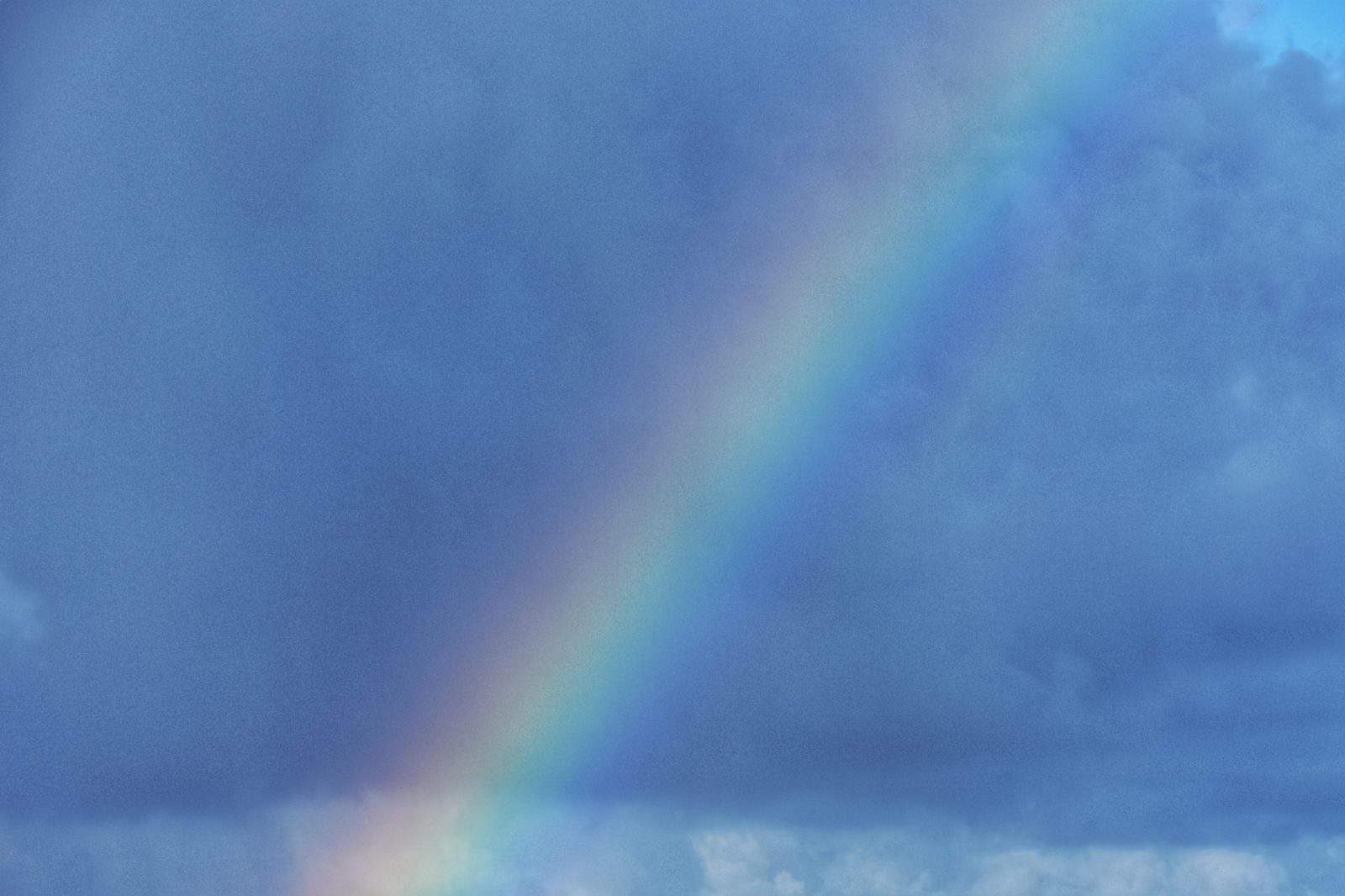 Pretty Rainbow